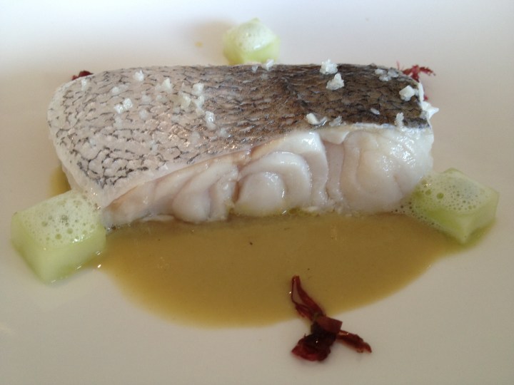 Lubina sobre una crema de ostras, pepino, mertensia y codium