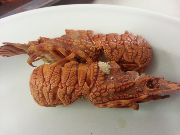 Primer plano de los Santiaguiños