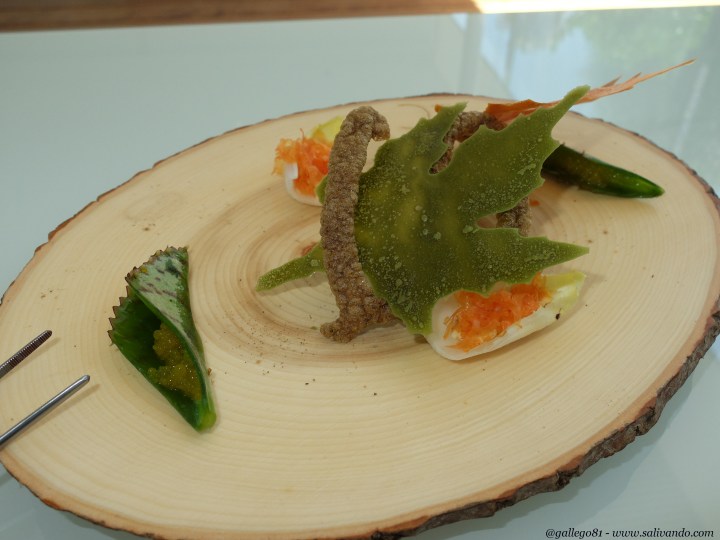 Raices de ceps, hoja seca de maíz, endivia con muselina de naranja, hoja de kalanchoe con perlas de maracuyá