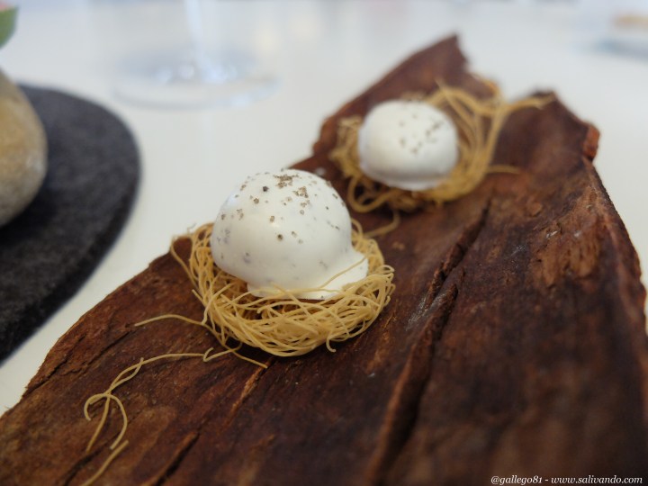 Nido de golondrinas 2010