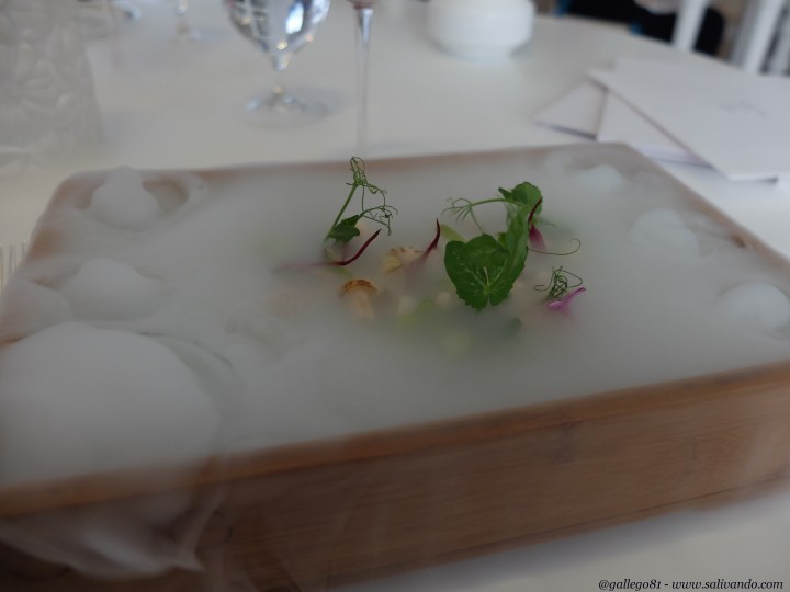 Bruma 2003 - Foto 1 de 6