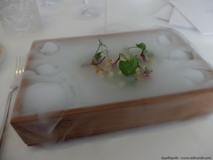 Bruma 2003 - Foto 2 de 6