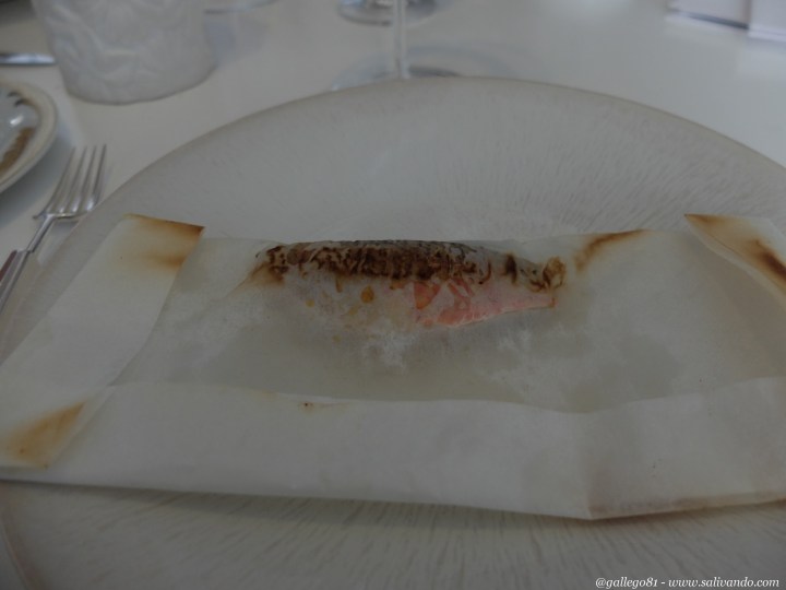 Presentación - Salmoneta al eucalipto 2011