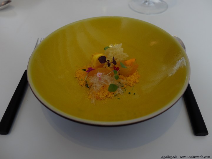 Campo de cítricos 2005