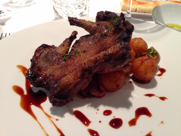 salivando more pichon bresse