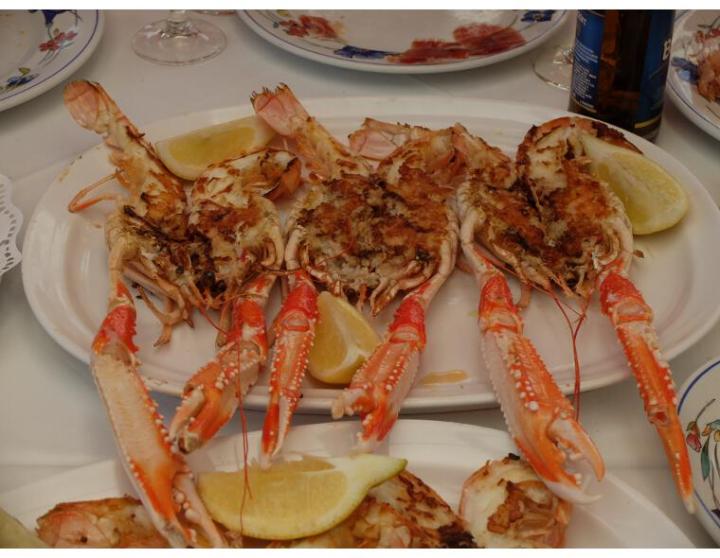 marisco rincon del alba manzanares el real