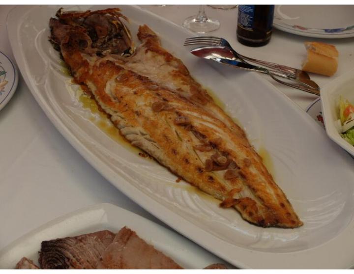pescado rincon del alba