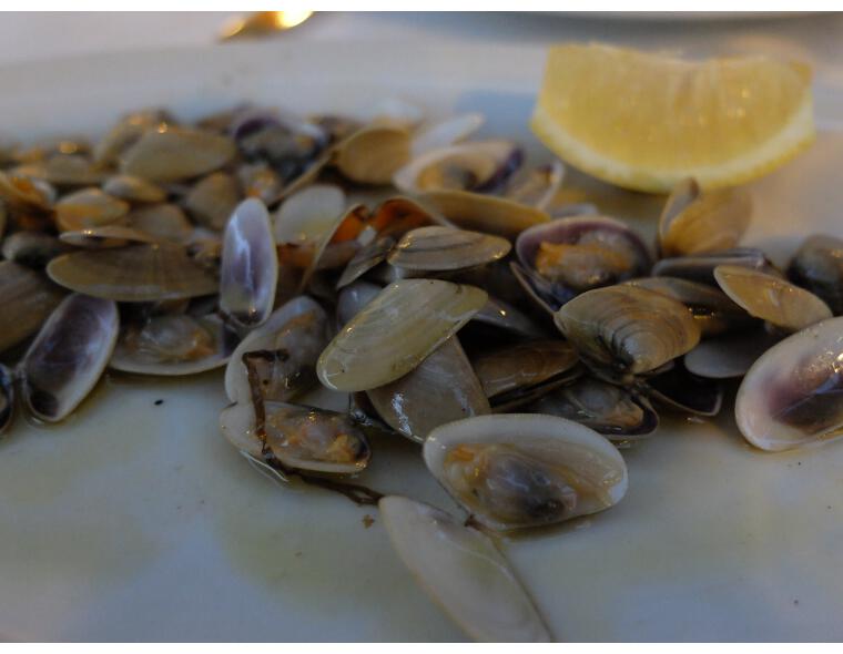 casa de quiros coquinas 2