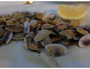 casa de quiros coquinas 2