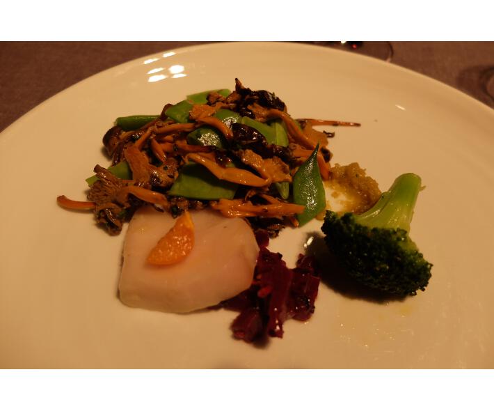 el brote angula de monte