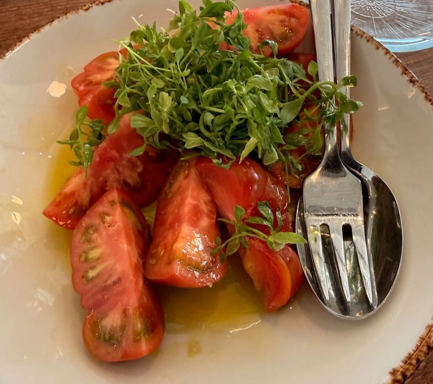 Tomate RAF con corujas en Playa de Madrid 1932
